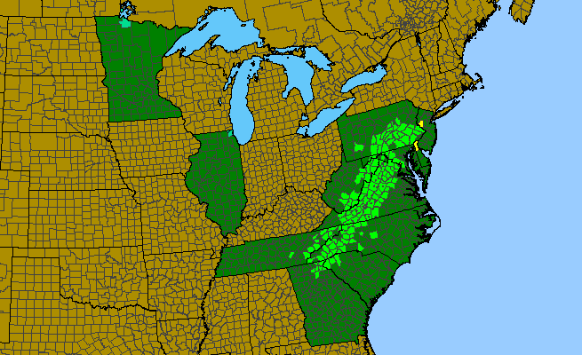The range of Pinus pungens